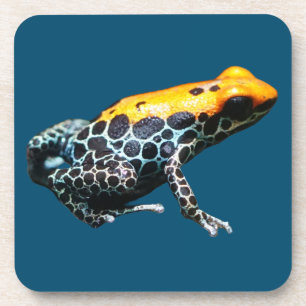 Poison Dart Frog Coaster