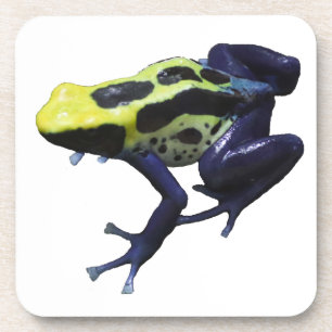Poison Dart Frog Coaster