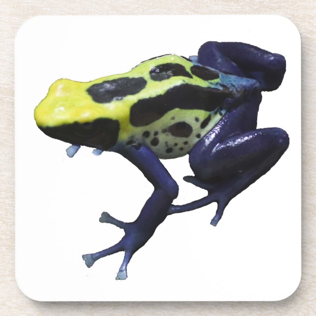 Poison Dart Frog Coaster (Front)