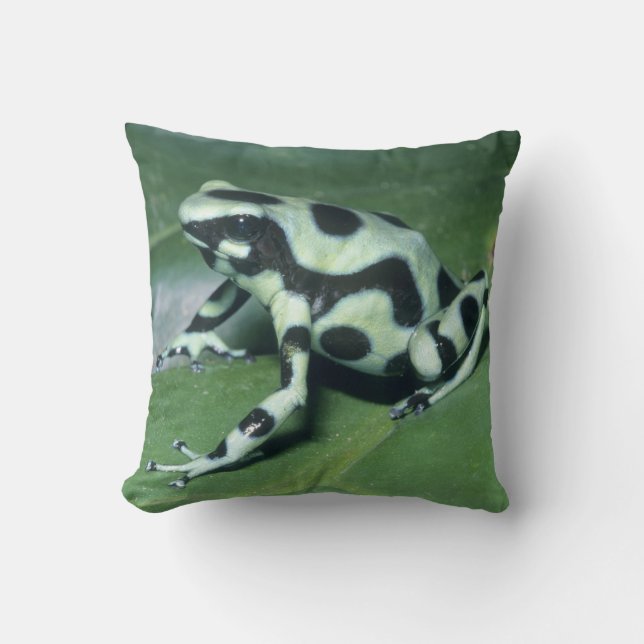 Poison Dart Frog, (Dendrobates auratus) Cahuita Throw Pillow (Front)