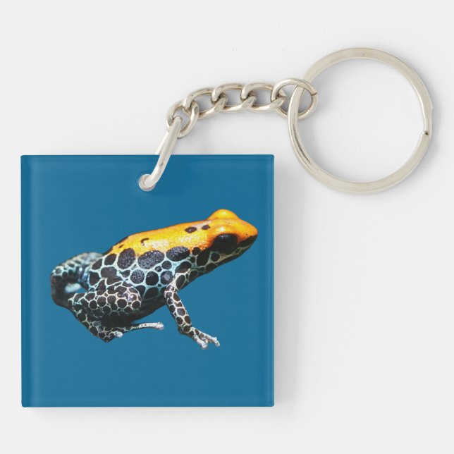 Poison Dart Frog Keychain (Back)