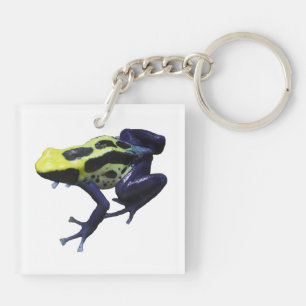 Poison Dart Frog Keychain