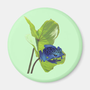 Poison Dart Frog Magnet