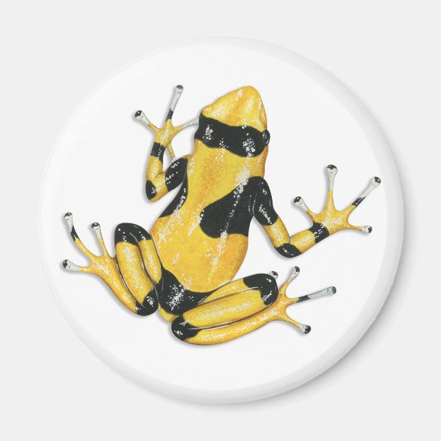Poison Dart Frog Magnet (Front)