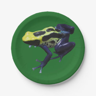 Poison Dart Frog Paper Plate