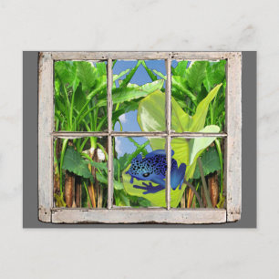 Poison Dart Frog Postcard