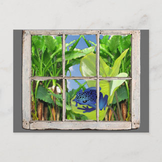 Poison Dart Frog Postcard