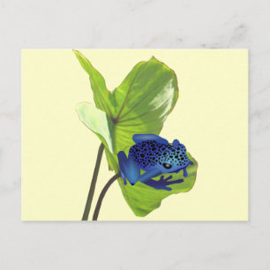 Poison Dart Frog Postcard