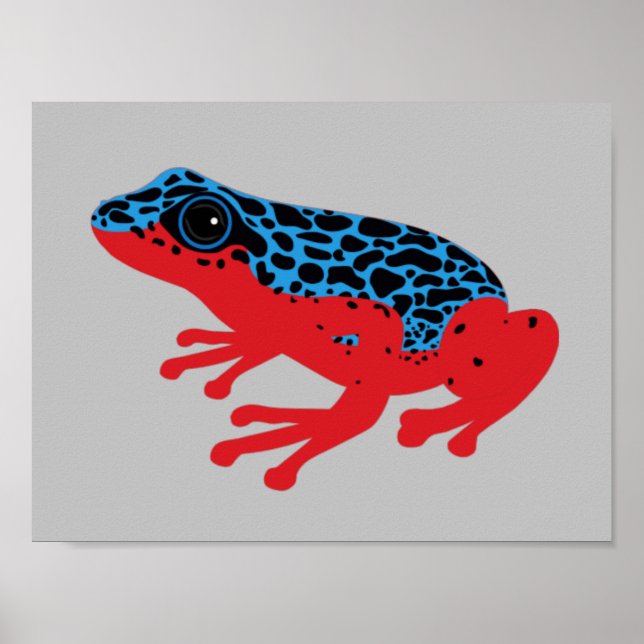 Poison Dart Frog Poster (Front)