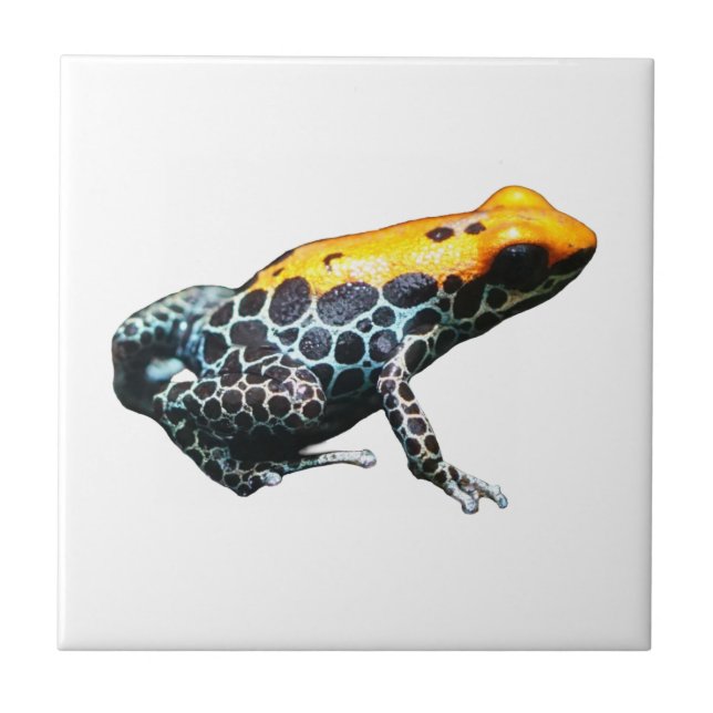 Poison Dart Frog Tile (Front)