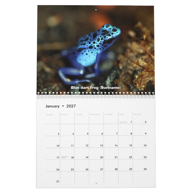 Poison dart frogs calendar (Jan 2027)