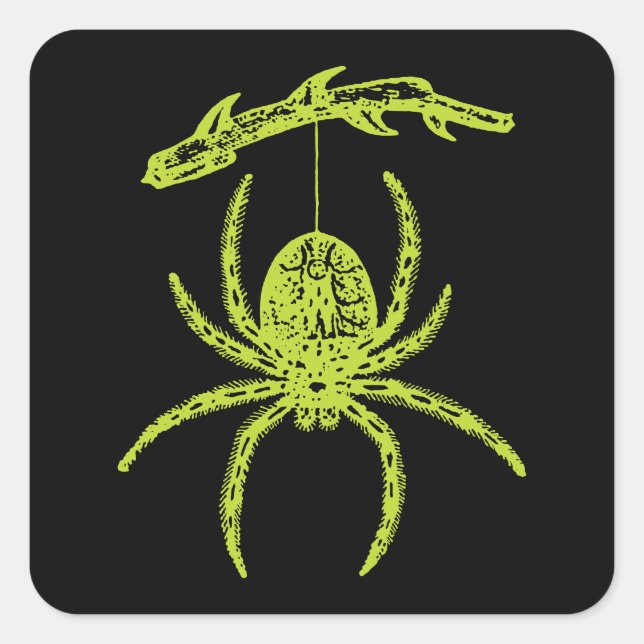 Poison Green Spider Square Sticker (Front)