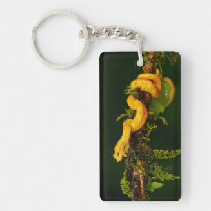 Poison Viper Snake from Costa Rica Keychain