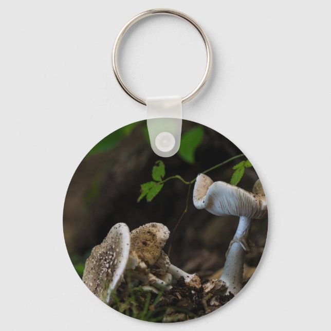 Poisonous Beauty Keychain (Front)