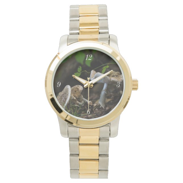 Poisonous Beauty Watch (Front)