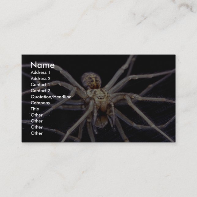 Poisonous menacing recluse spider business card (Front)