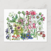 Poisonous Plants Herbs Watercolor Flower Drawing