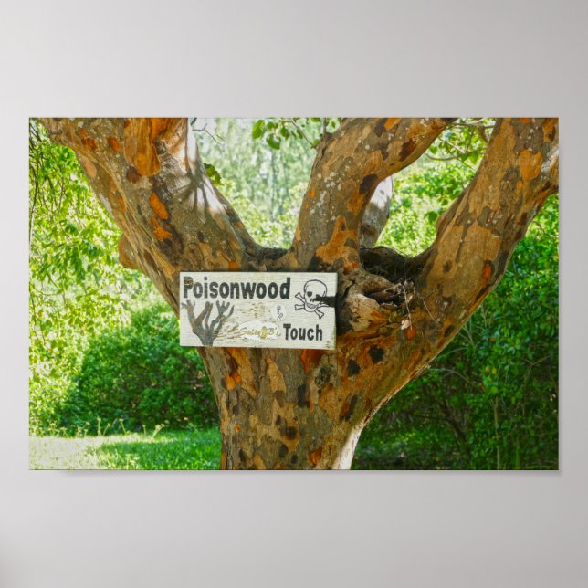 Poisonwood Tree Warning Sign (Front)
