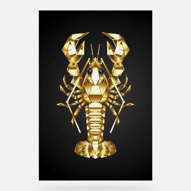 Poisson à langouste polygonale dorée sur noir (Recto)