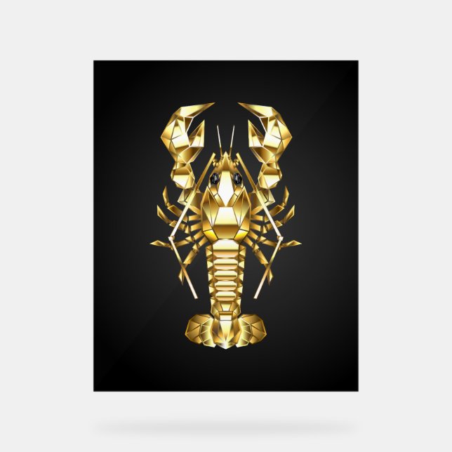 Poisson à langouste polygonale dorée sur noir (Recto)