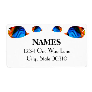 Poisson bleu coloré