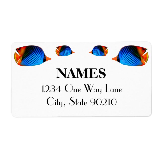 Poisson bleu coloré (Devant)