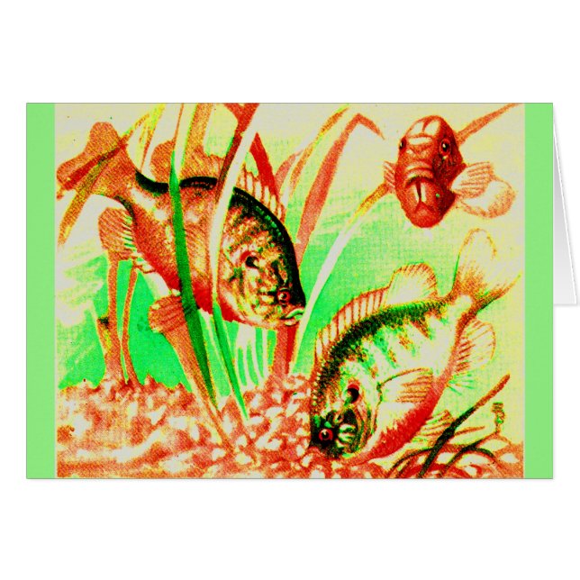 poisson d'eau douce (Devant horizontal)