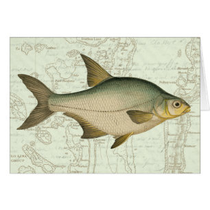 Poisson d'eau douce sur la carte