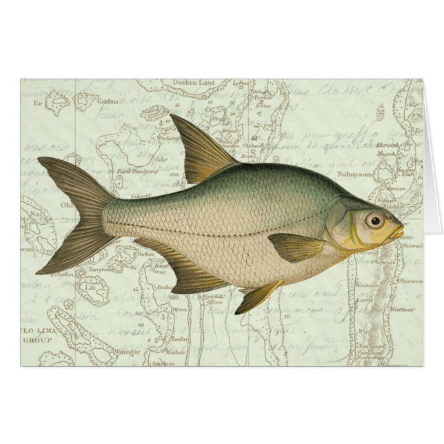 Poisson d'eau douce sur la carte (Devant horizontal)