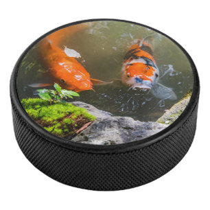 Poisson Koi dans un étang