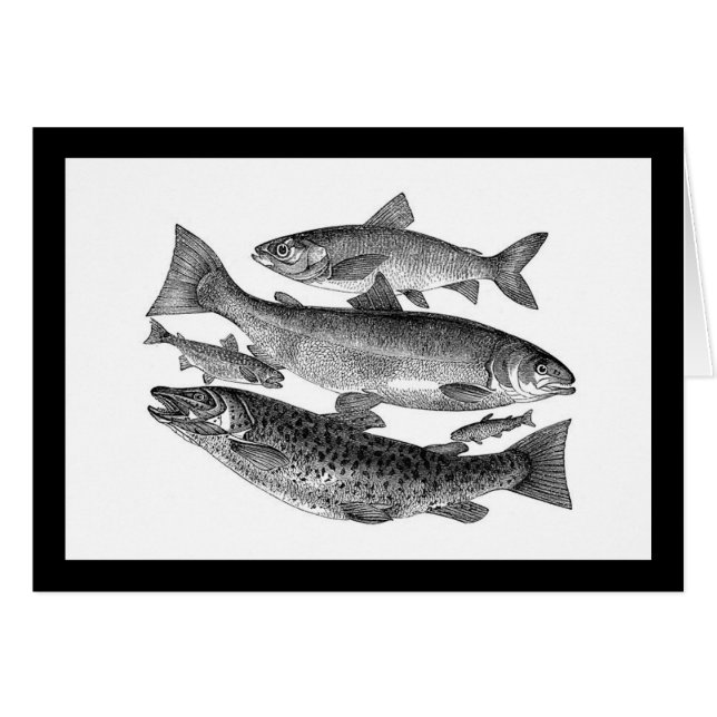 Poisson noir vintage (Devant horizontal)