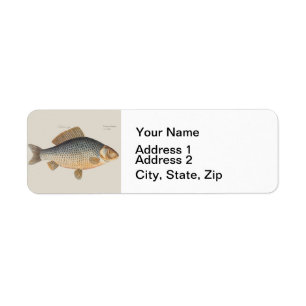 Poisson+oeuvre d'art+conception+pêche+poissonneux