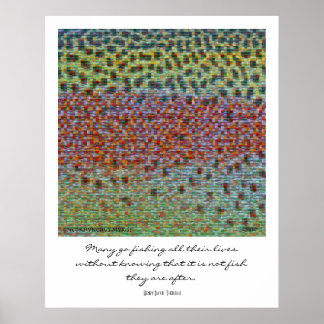 Poisson Peaux Montage Poster