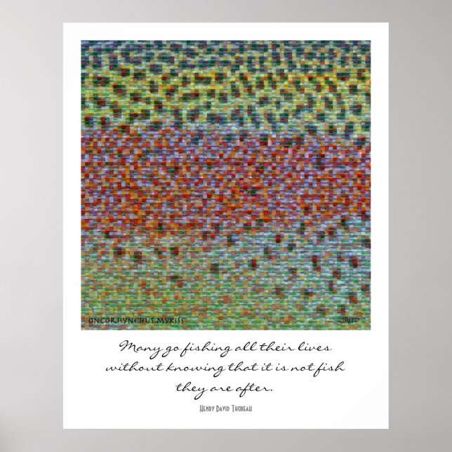 Poisson Peaux Montage Poster (Devant)