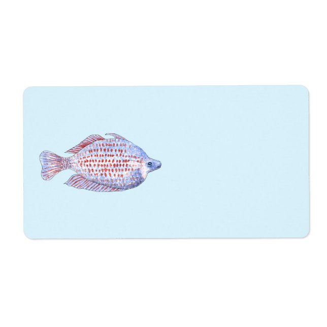 Poisson. Red Line Rainbowfish. (Devant)