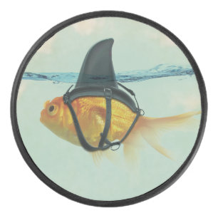 Poisson rouge avec une nageoire de requin