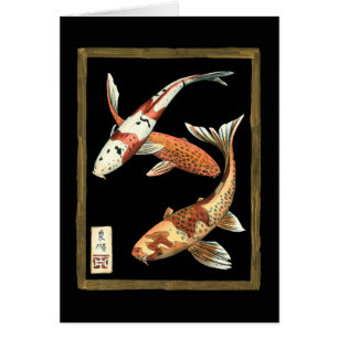 Poisson rouge de Koi de deux Japonais sur