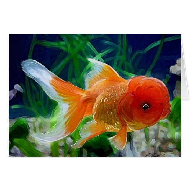 Poisson rouge d'Oranda (Devant horizontal)