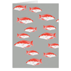 Poisson rouge et gris