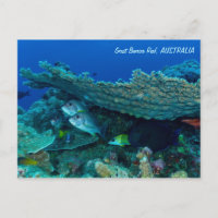 Poisson tropical de la mer de Corail Carte postale