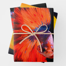 Poisson tropical Papier à enveloppement à trois fe