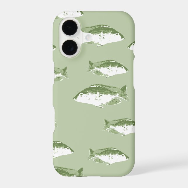 Poisson vert olive (Verso)