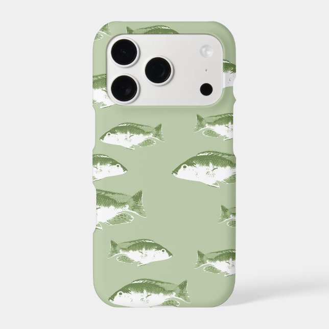 Poisson vert olive (Verso)