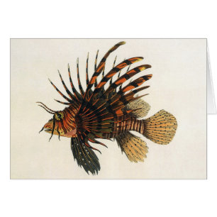 Poisson vintage de Lion, Marine Océan Vie Animal