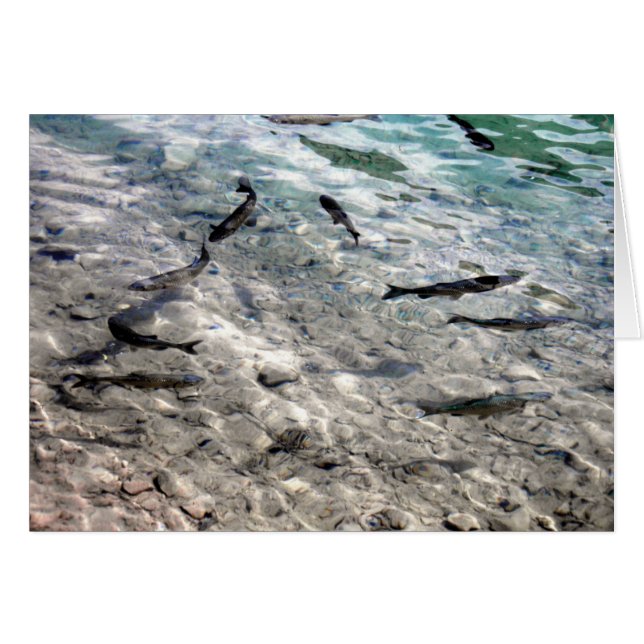 Poisson volant (Devant horizontal)