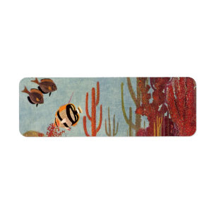 Poissons-anges en corail, poissons tropicaux Vinta