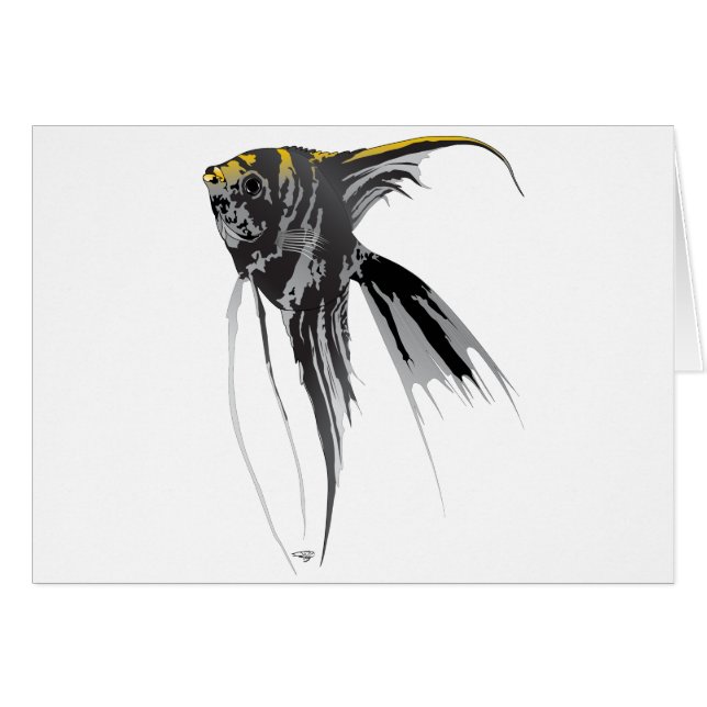 Poissons d'ange (Devant horizontal)