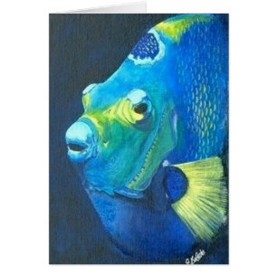 Poissons d'ange de la Reine