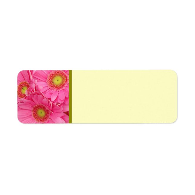 Poissons de Gerber rose (Devant)