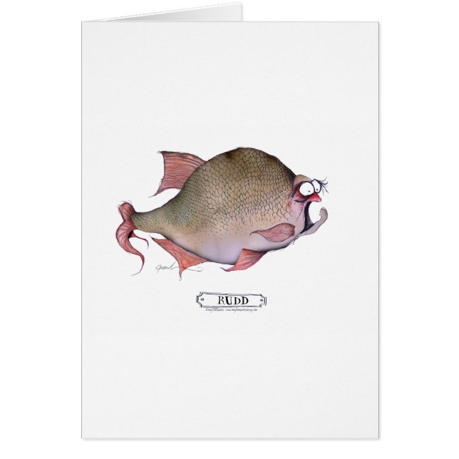 Poissons de Rudd, fernandes élégants (Devant)